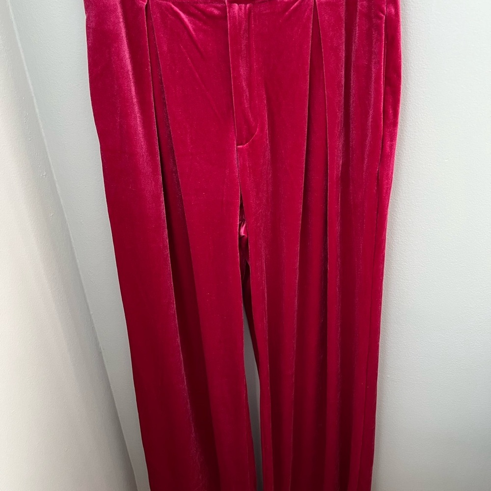 Pink Lily women’s pants, pink color, size medium, velvet